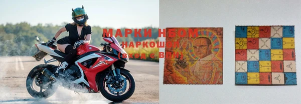 сатива Абаза