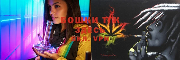 сатива Абаза