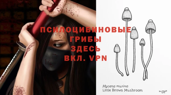 трава Новокубанск